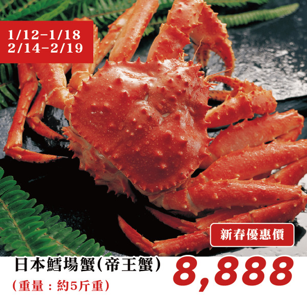 【高雄店限定】新春預訂｜日本鱈場蟹 (帝王蟹) / 隻