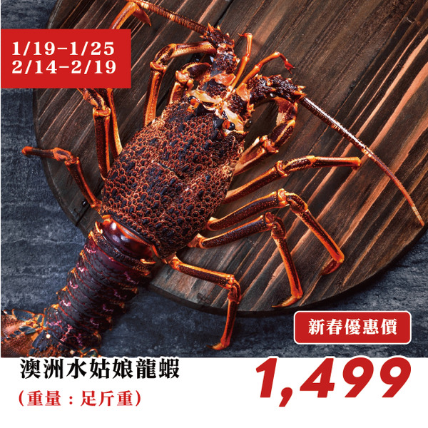 【高雄店限定】新春預訂｜澳洲水姑娘龍蝦 / 隻