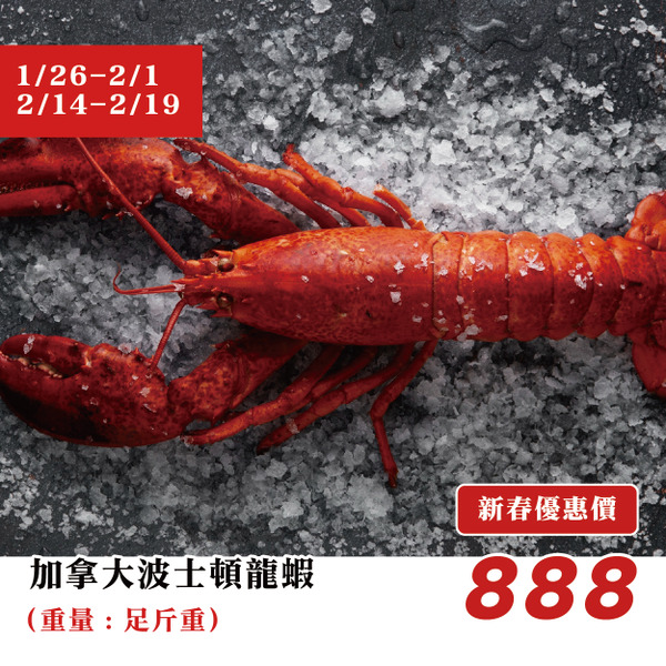 【高雄店限定】新春預訂｜加拿大波士頓龍蝦 / 隻