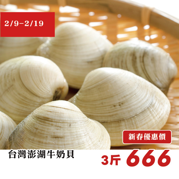 【高雄店限定】新春預訂｜台灣澎湖牛奶貝 / 3斤