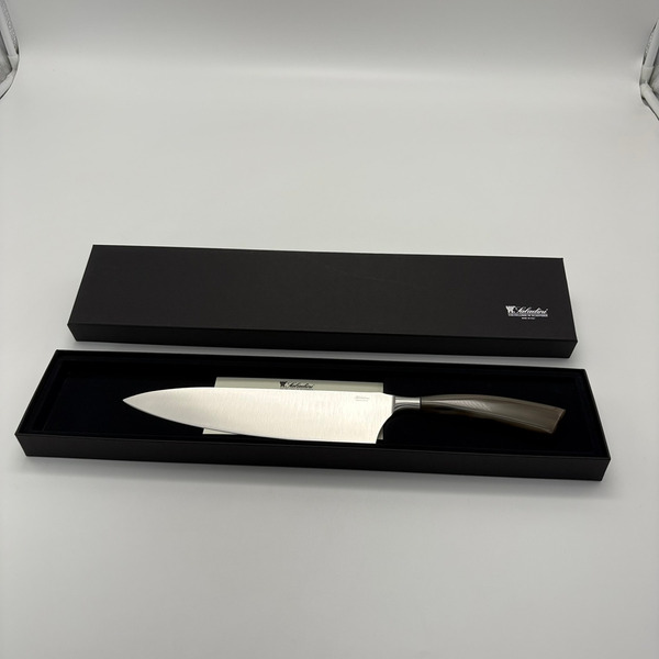 SALADINI 義大利手工主廚刀 25cm｜天然白牛角握柄   不鏽鋼廚房料理刀（5014C）仿白牛角色象牙白色樹脂握柄 (5014RB）主廚刀