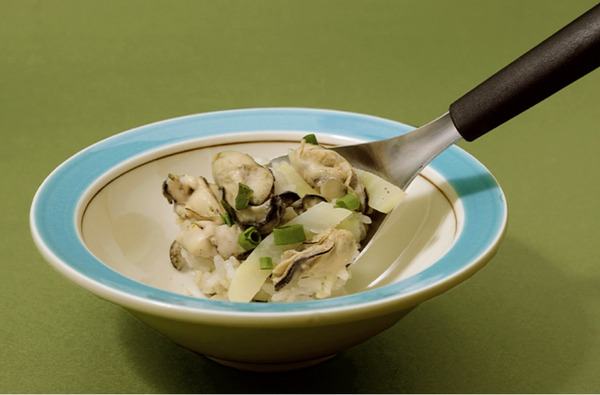 【TRIANGLE德國三角牌】服務湯匙 湯匙 上菜湯匙 高級湯匙 手柄符合高級食品安全聚丙烯