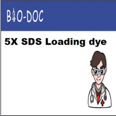 5X SDS Loading dye Lisbio 莉蒔科技有限公司