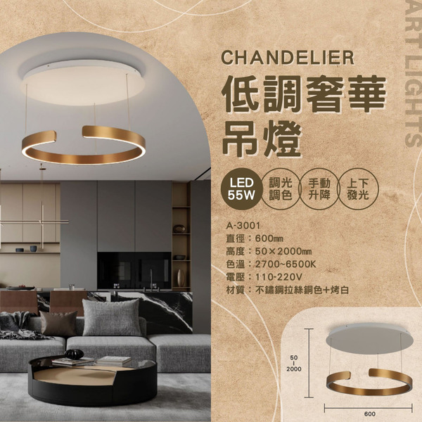 55W 不鏽鋼拉絲藝術吊燈 A-3001