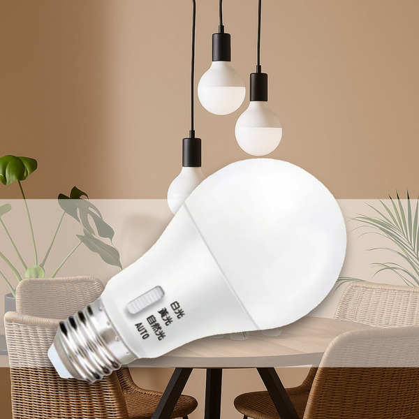 10~17W｜CNS三色撥碼球泡 E27-10A