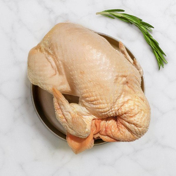 台東古早公雞-玉米土雞