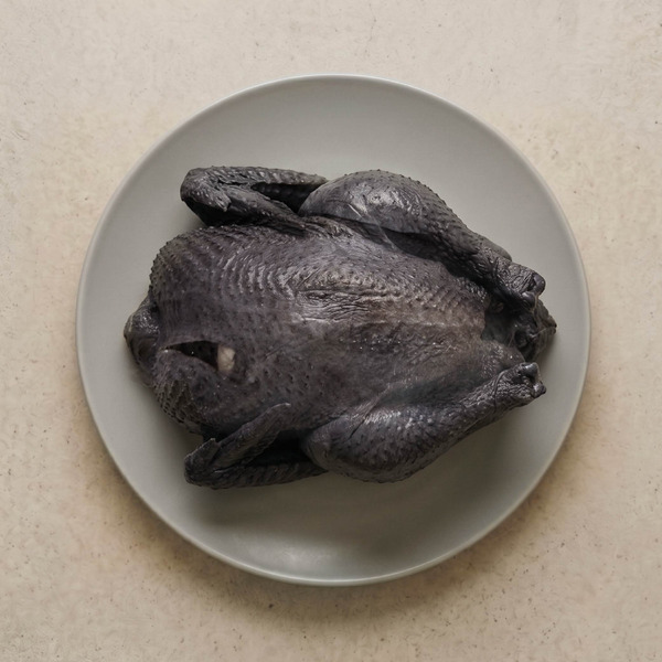 絲羽烏骨雞