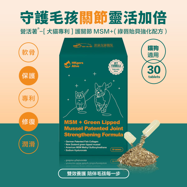 🇭🇰 營活著│護關節 MSM+