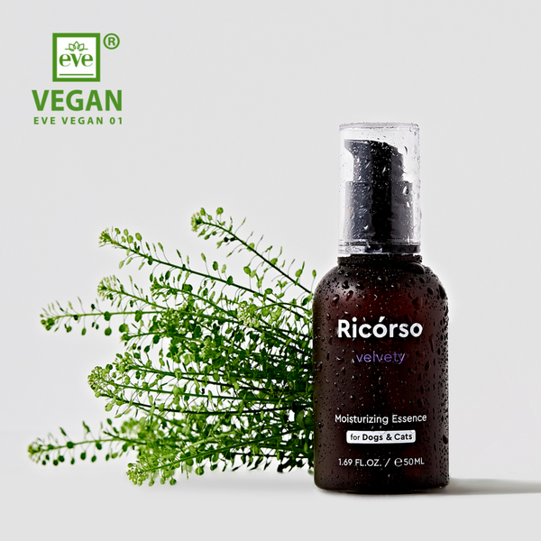 🇰🇷 Ricórso｜Velvety 絲絨肌膚凝膠 50ml