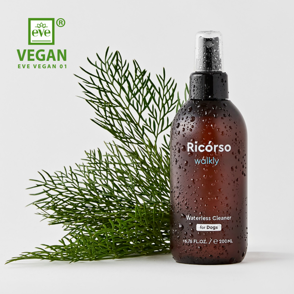 🇰🇷 Ricórso｜Walkly 足部乾洗噴霧 200ml