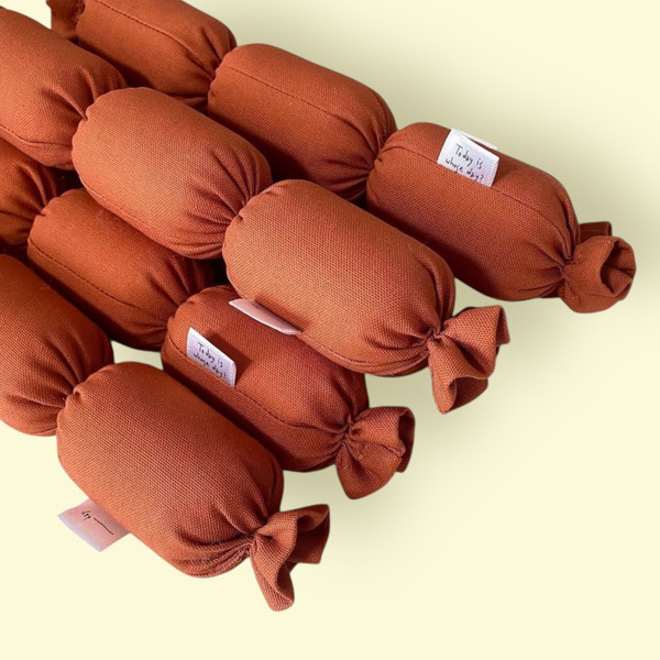 🇰🇷 Blank Day｜主廚特製臘腸玩具｜貓草 + 木天蓼