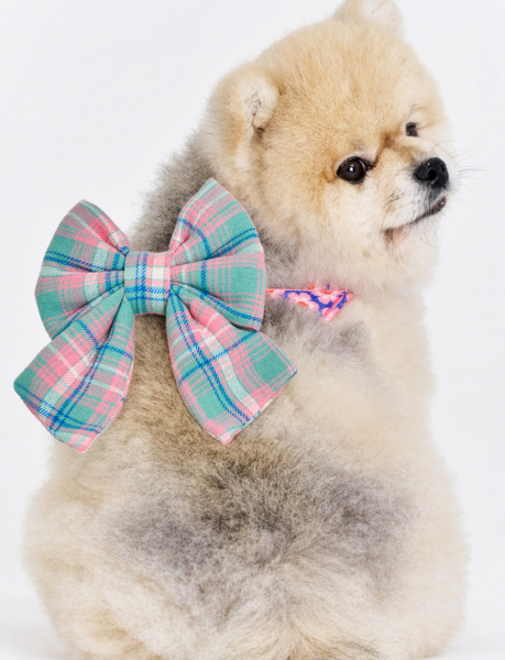 🇰🇷 The Wagging Blue｜Peach Blossom｜可扣式蝴蝶結