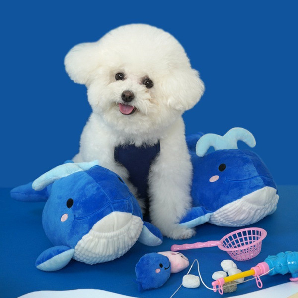 🇰🇷 PETBEO｜水柱大鯨魚｜藏食玩具