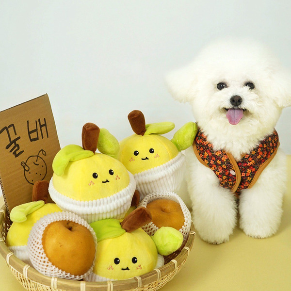 🇰🇷 PETBEO｜有機韓國梨｜藏食玩具