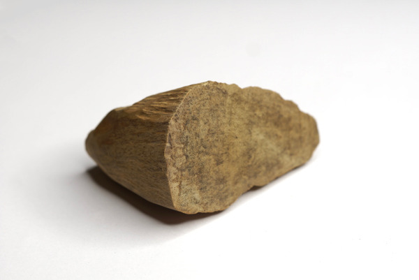 柬埔寨沉香｜割