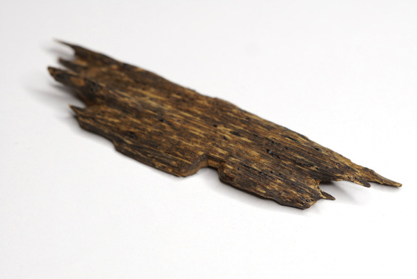 東馬來西亞沉香｜割