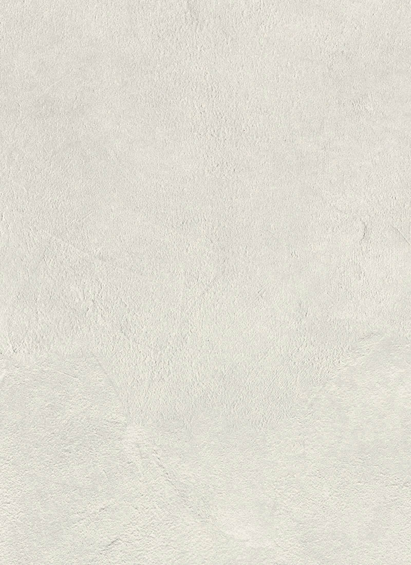 F-649G 白色珪藻土