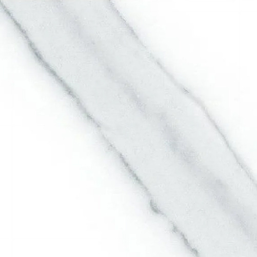 C019CJ901 PET魚肚白