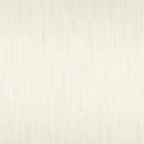 C002CJ1301 藏銀中拉絲