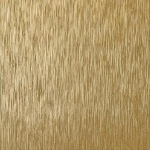 TK201B 拉絲香檳金