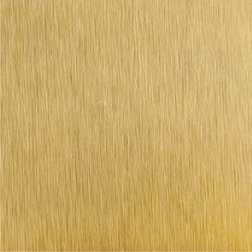 TK205M 拉絲香檳金