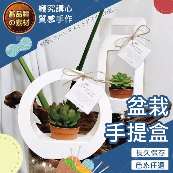 【隔日送達🚀】盆栽手提盒 提袋 透明手提袋 花袋 鮮花提袋 吊牌提袋 透視提袋 禮品袋 禮品紙袋 手提袋 櫥窗手提袋