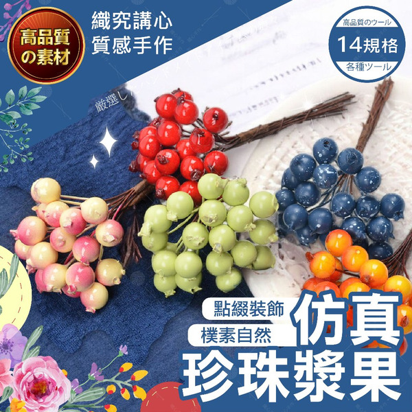 【隔日送達🚀】仿真珍珠漿果 永生花 乾燥花 果實 手作花束 乾燥花材 花藝 花藝材料 紅果 永生 乾燥果實 小紅果