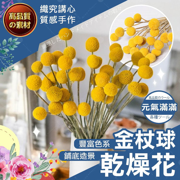 【隔日送達🚀】黃金球 乾燥花 金仗球 金槌花 永生花 花圈 捧花花束 乾燥花束 乾燥花材  金色乾燥花 DIY 花材 不
