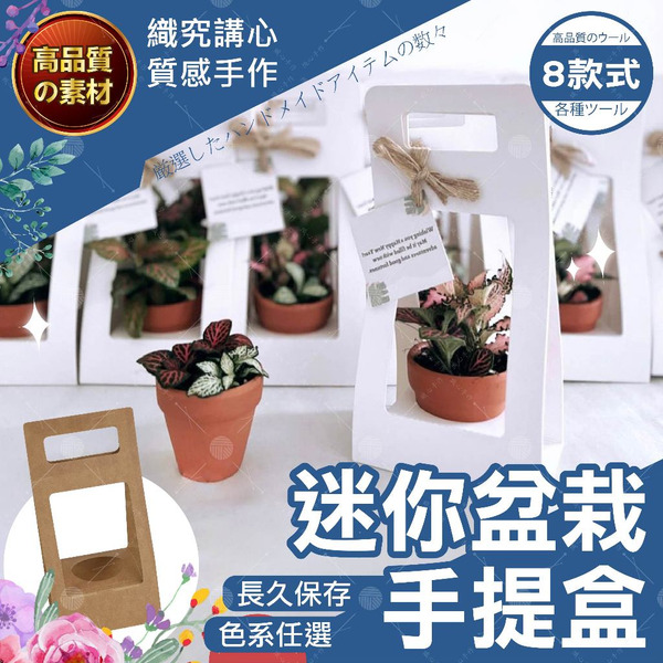 【隔日送達🚀】迷你盆栽手提盒 提袋 透明手提袋 花袋 鮮花提袋 吊牌提袋 透視提袋 禮品袋 禮品紙袋 手提袋 櫥窗手提袋