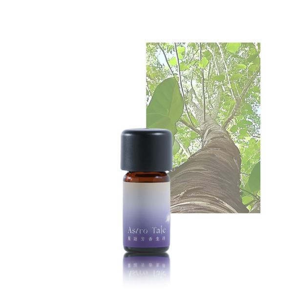 白奇楠沉香原精