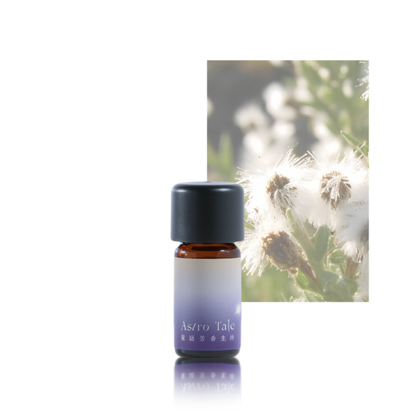 南非峽角甘菊精油