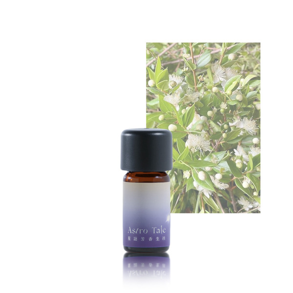 摩洛哥紅香桃木