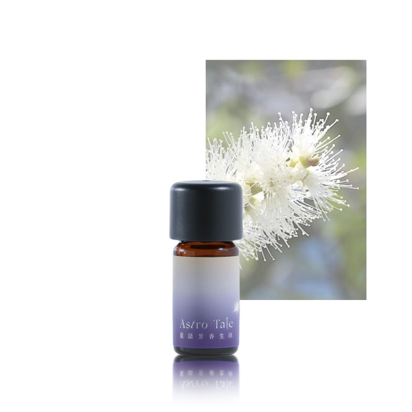 公平貿易綠花白千層