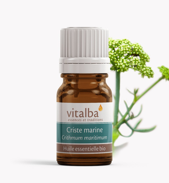 Vitalba 海茴香精油