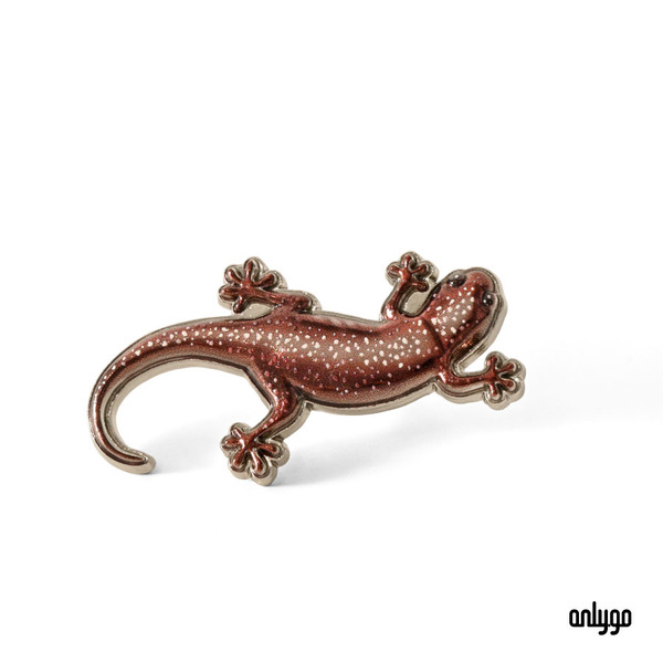 台灣原生動物徽章（台灣山椒魚）