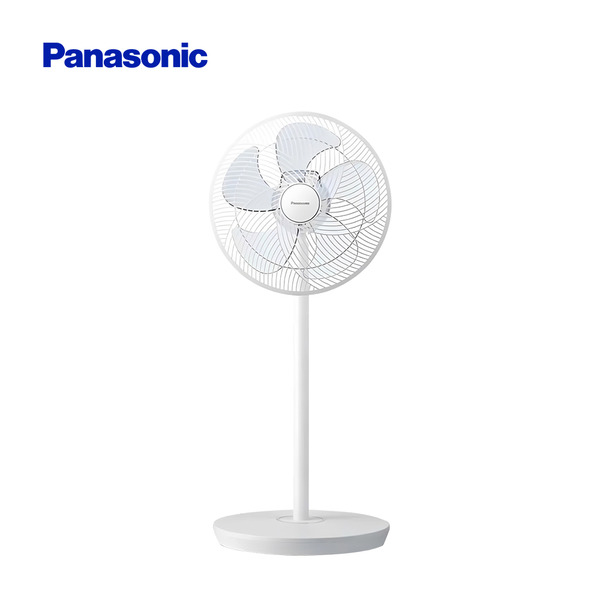 國際牌-12吋 五片扇葉ECO溫度感知DC馬達立扇(附遙控器)F-S12QT