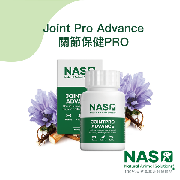 【NAS】Joint Pro Advance 關節保健PRO 60錠