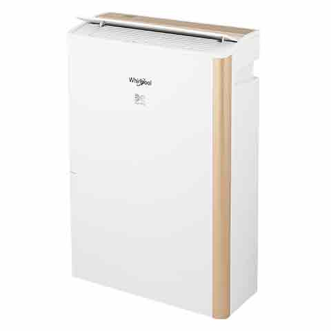 *✨歡迎來電洽詢✨ 惠而浦 DS242HCTW Puri-Pro 12公升第六感智能清淨除濕機