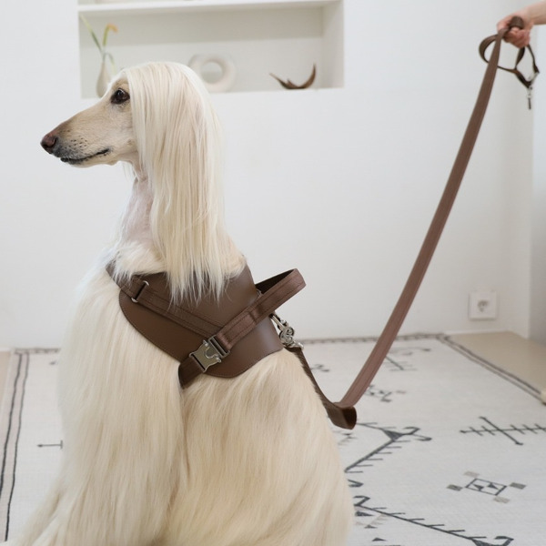 Saddle Hands-free Leash