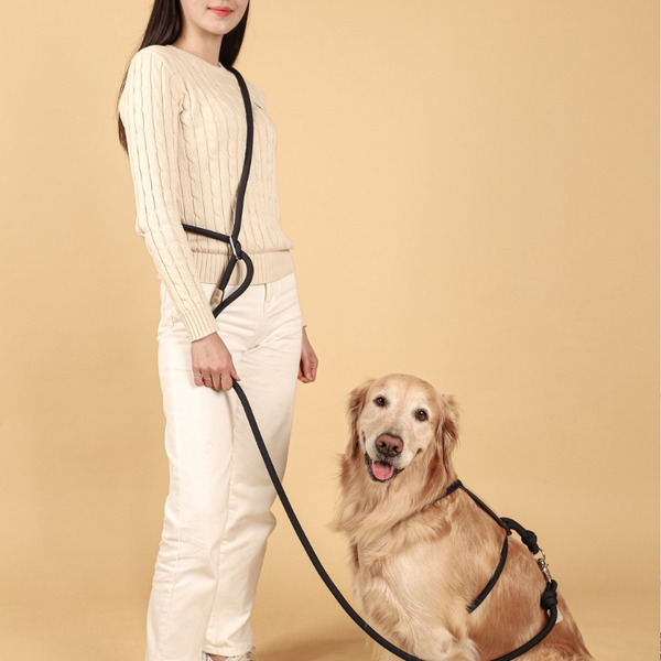 Essential Hands Free Leash