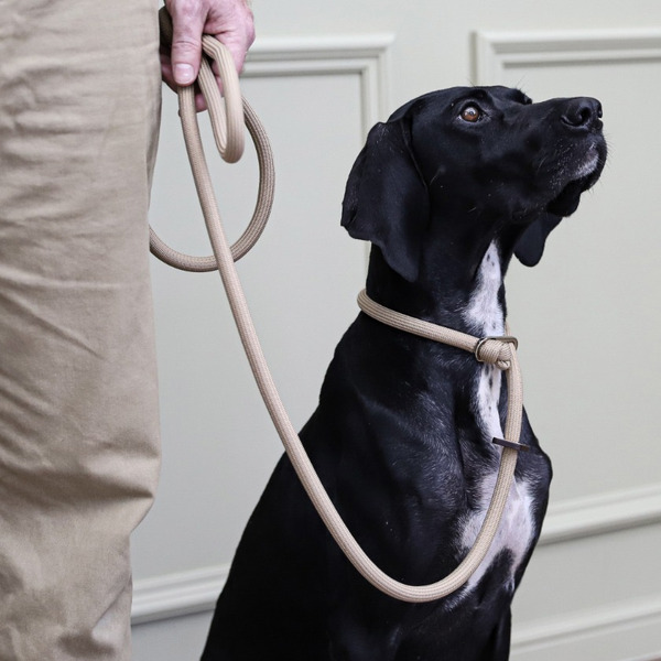 Slip Leash