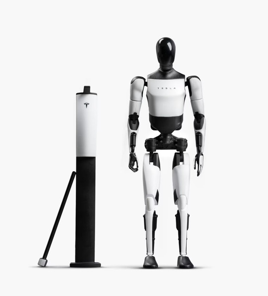 特斯拉 Optimus 限量 Tesla Bot 機器人模型