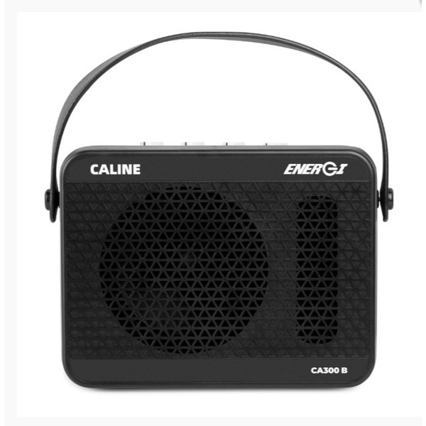 CALINE CA300B 15W 貝斯音箱