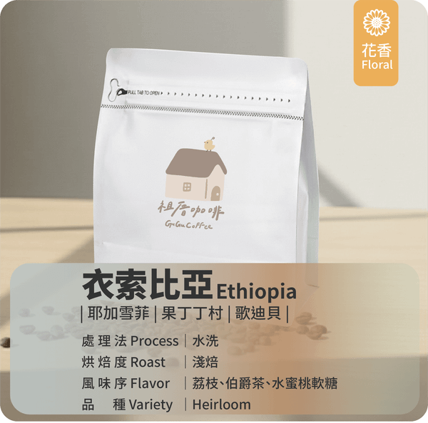 ｜衣索比亞 水洗 淺焙 果丁丁村 歌迪貝 阿利姆布卡托小農