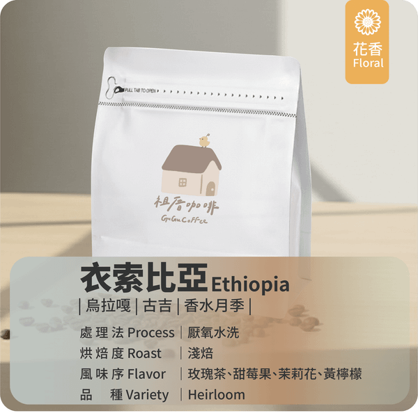 ｜衣索比亞 厭氧水洗 淺焙 古吉 烏拉嘎 香水月季