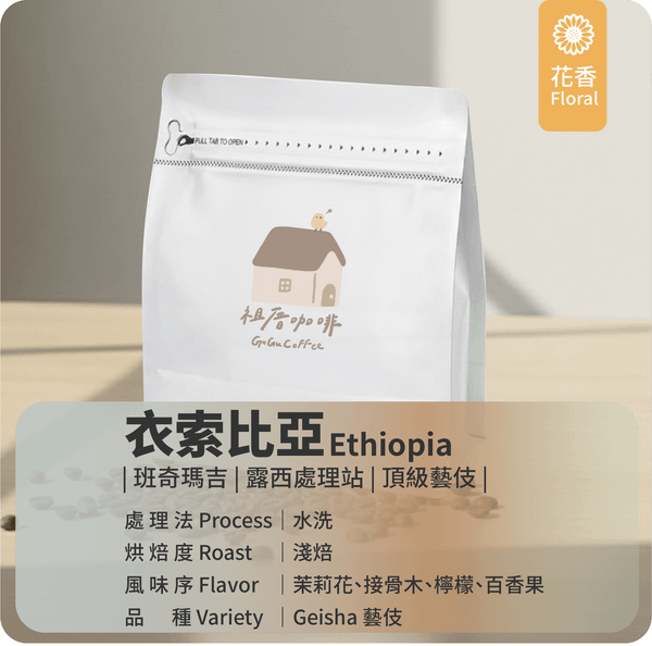 ｜衣索比亞 水洗 淺焙 班奇瑪吉 露西藝伎