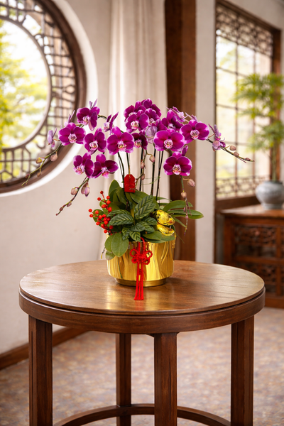 🌸《瑞曜蘭序・曜瑞》