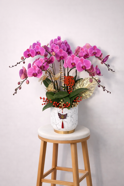 🌸 《瑞曜蘭序・錦瑞》