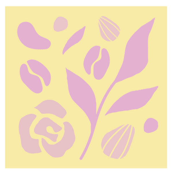 衣索比亞 古吉 玫瑰荔荔 日曬