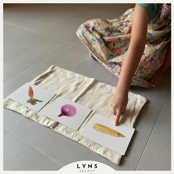 蒙特梭利教具-語彙啟蒙卡 語言工作圖卡 水果,動物,蔬菜